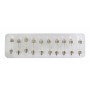 Лампа накаливания SVS 12V С10W T11x44mm SV8,5-8 {упаковка 1/10/1000}